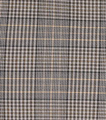 Posh Cutie Bow Trim Plaid Mini Skirt