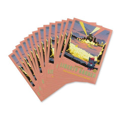Pokémon TCG: Unova Explore Pokémon Premium Card Sleeves (65 Sleeves)