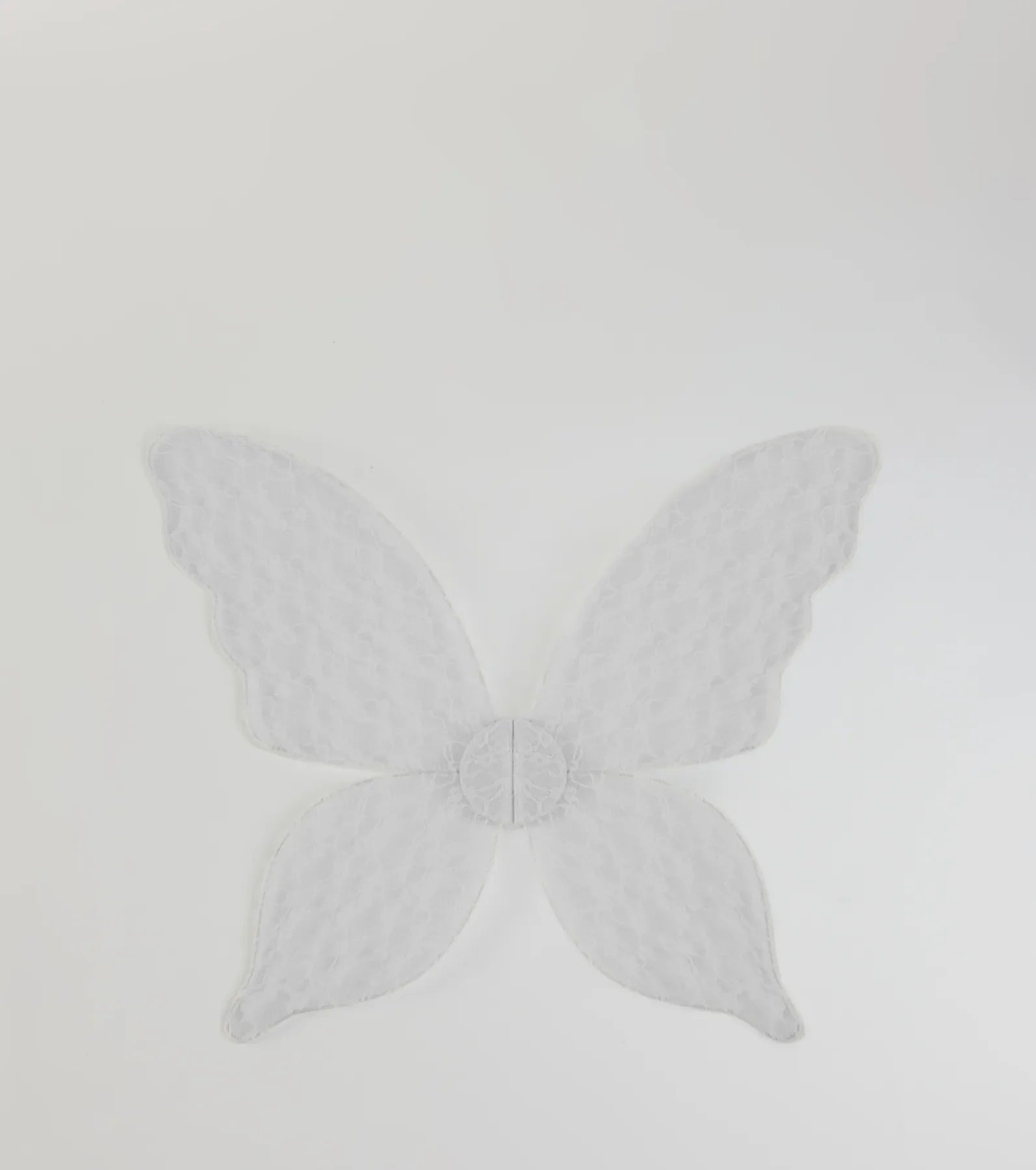 Mystical Fantasy Sheer Lace Wings