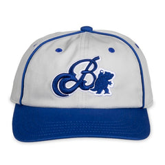 Blastoise Blue Baseball Cap (One Size-Adult)