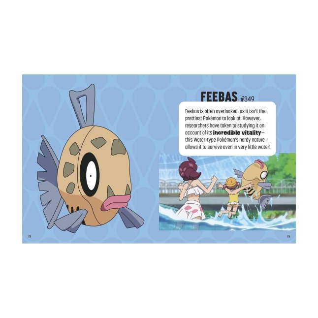 Pokémon: Trainer's Mini Exploration Guide to Hoenn